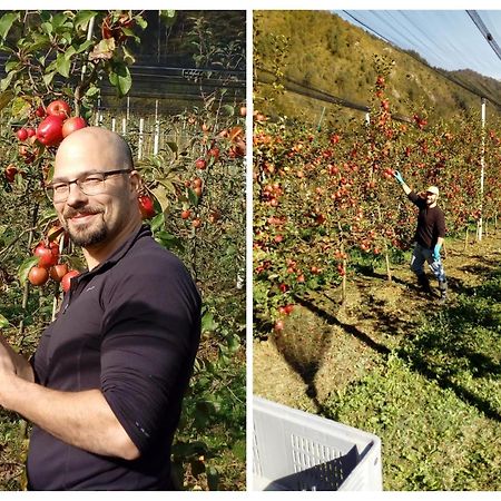 Agriturismo Pian Dei Tass Barcis Buitenkant foto