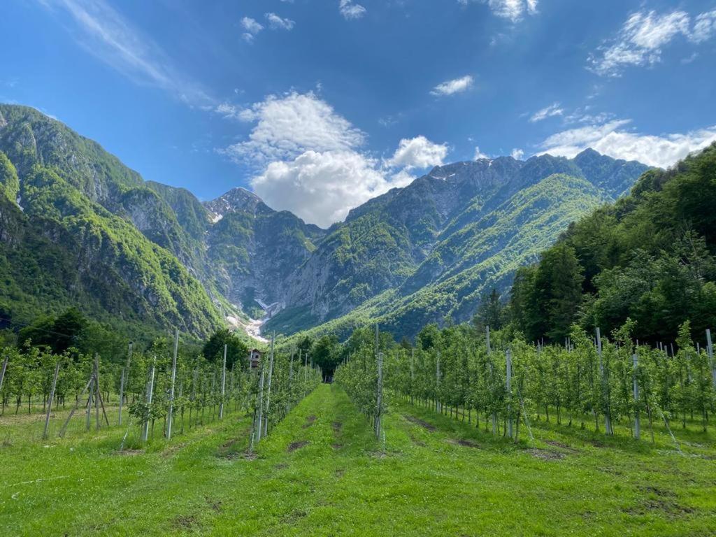 Agriturismo Pian Dei Tass Barcis Buitenkant foto