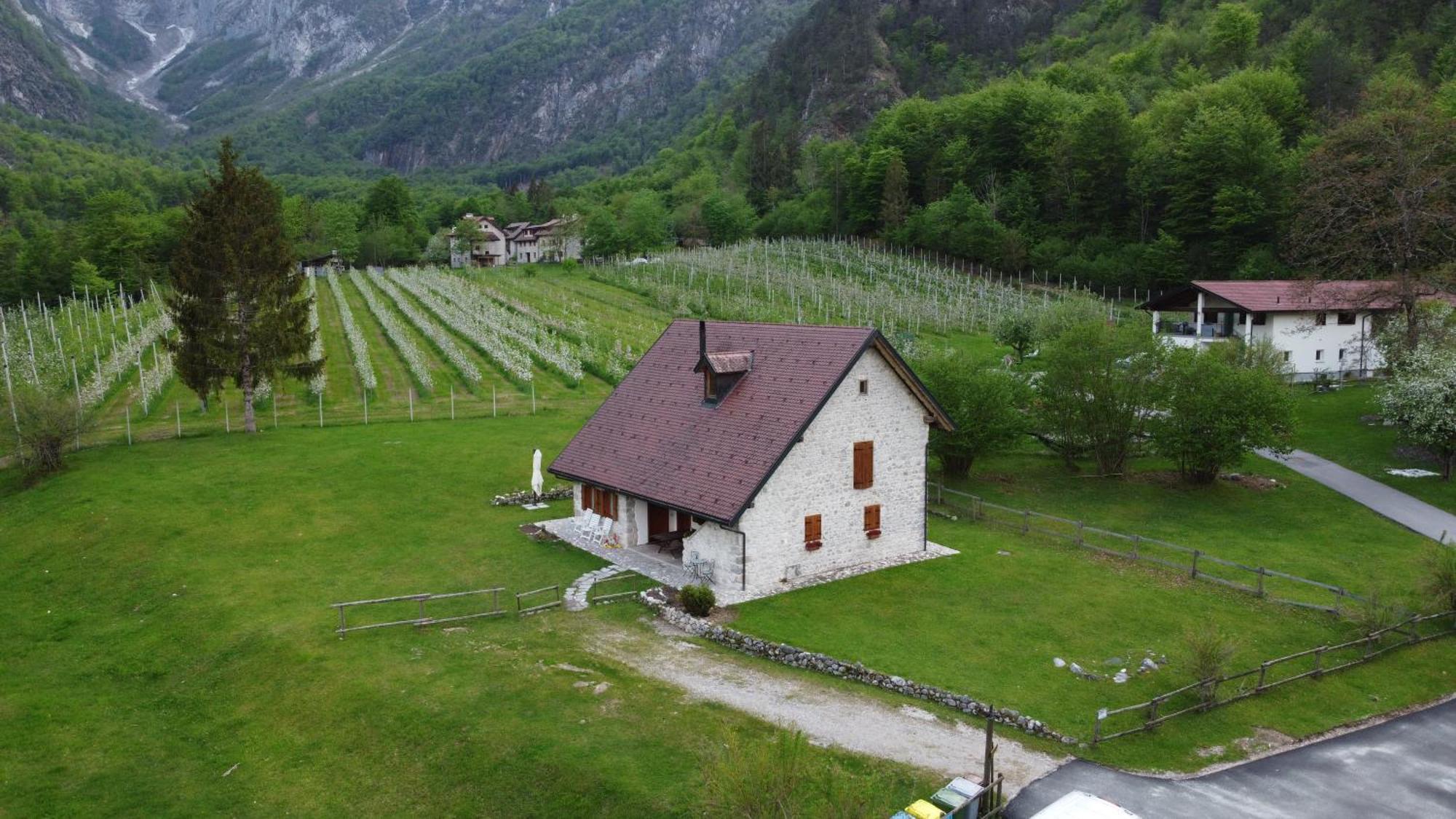 Agriturismo Pian Dei Tass Barcis Buitenkant foto