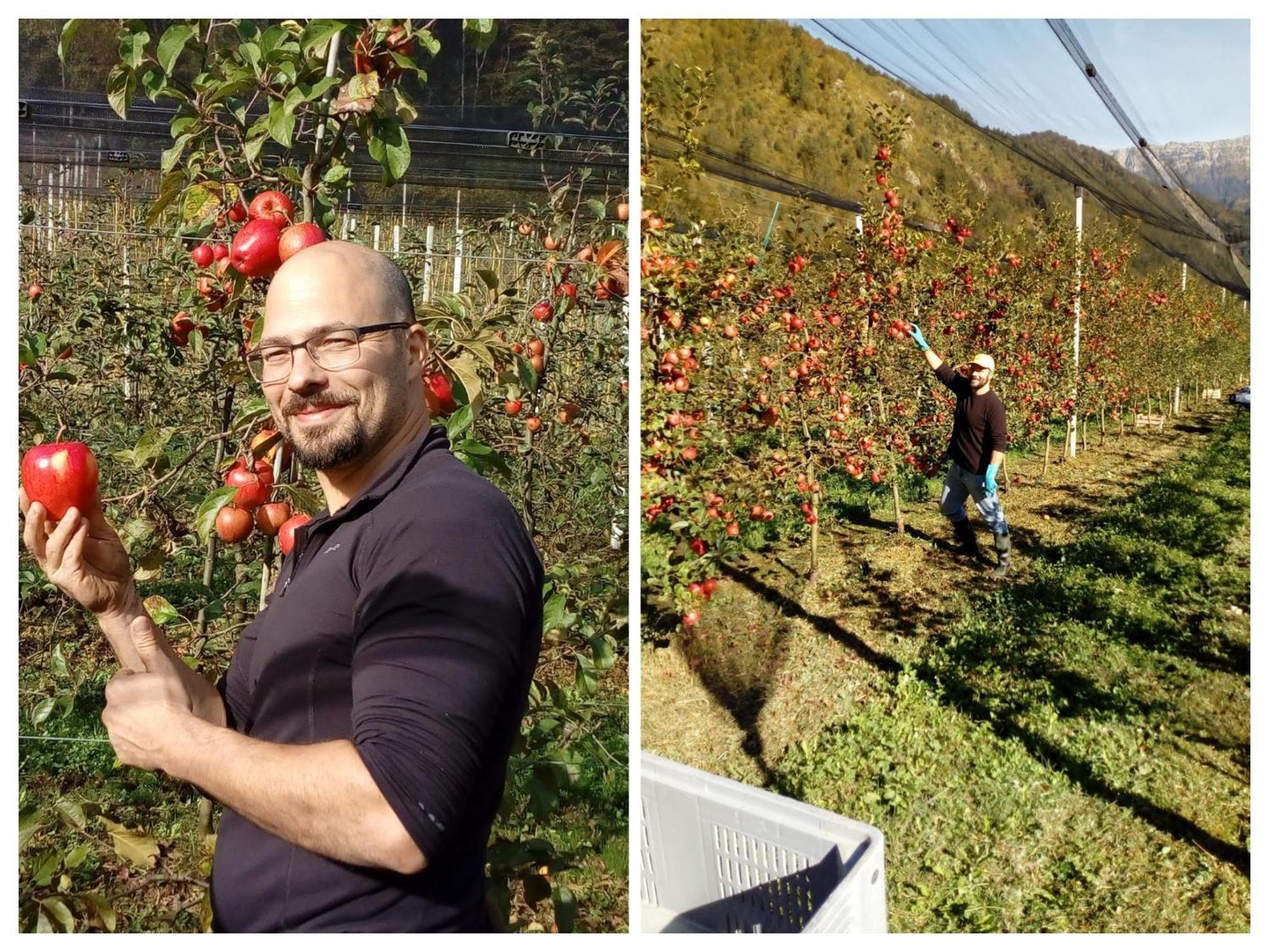 Agriturismo Pian Dei Tass Barcis Buitenkant foto