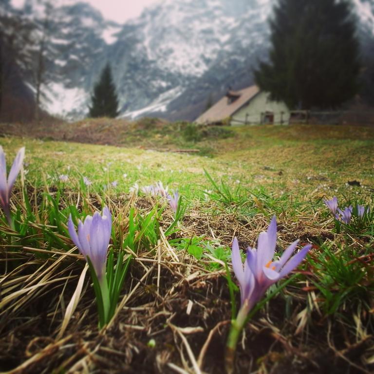 Agriturismo Pian Dei Tass Barcis Buitenkant foto