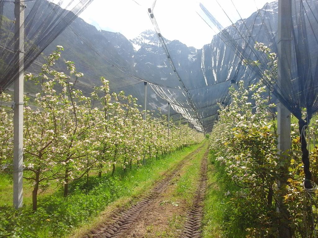 Agriturismo Pian Dei Tass Barcis Buitenkant foto